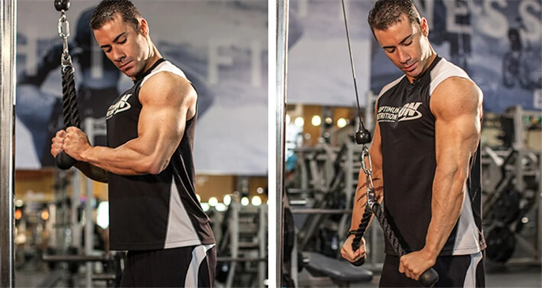 Hình ảnh có liên quan