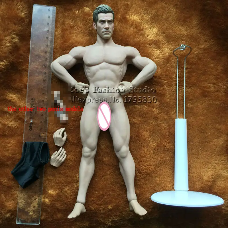 phicen male doll