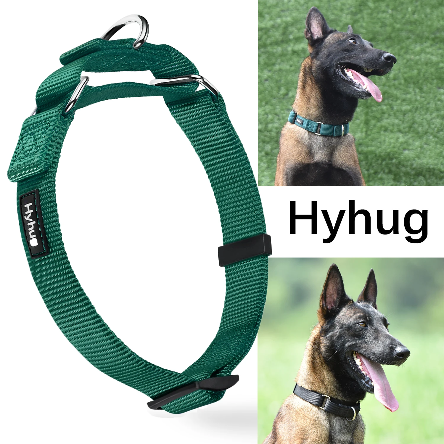 dog training collars for small dogs