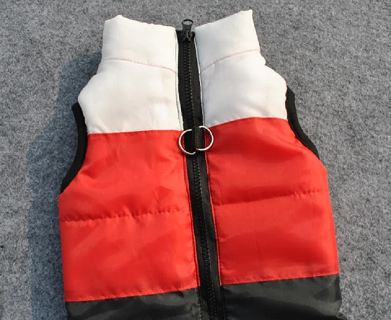 clothing for dogs