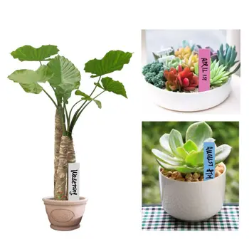 

100pcs Plastic Plant Labels Mark Flower Tag Garden Ornaments Gardening Label Nursery Flower Tag