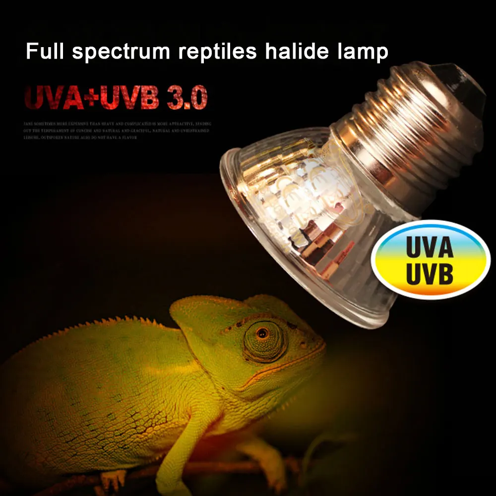 25/50/75 Вт UVA+ UVB 3,0 лампа для рептилий лампы черепаха гигантская UV светильник лампы Лампа накаливания амфибии ящерицы Температура контроллер
