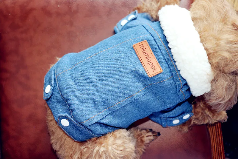Зимняя для домашней собаки джинсовая куртка одежда для маленьких собак меховой воротник джинсовая куртка для собак Джинсы для чихуахуа Йоркских Мопсов одежда для щенков