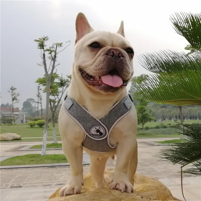 No Pull Sport X5 Dog Harness Reflective Pet Harness for Small Medium Dogs Breathable Protective Dog Harness Vest Easy Control 6