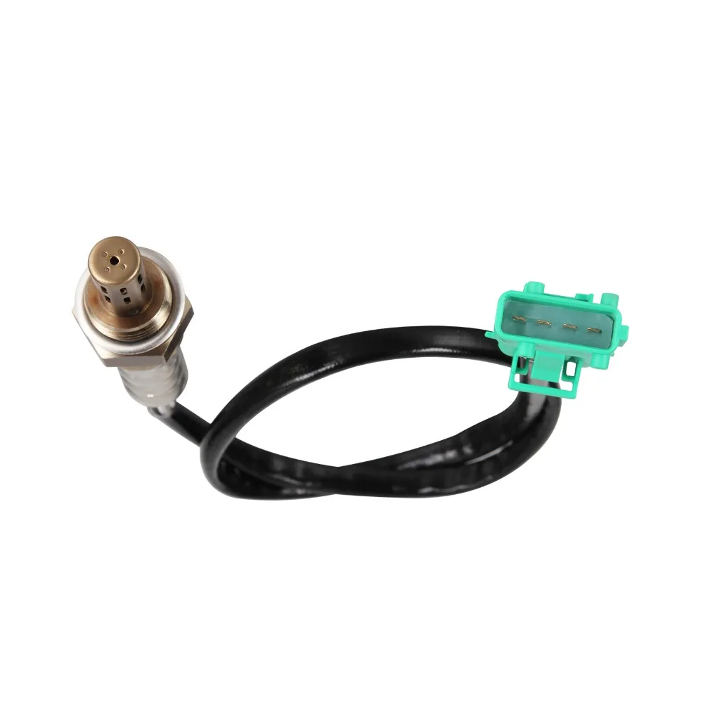 AE000500-AS (4)