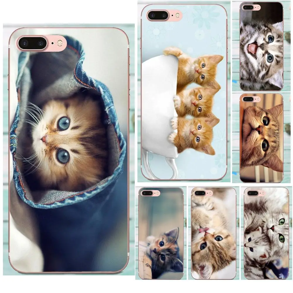 Новинка 2019 милые кошки для Apple iPhone 4 4S 5 5C 5S SE 6 6S 7 8 Plus X XS Max XR Мягкие силиконовые