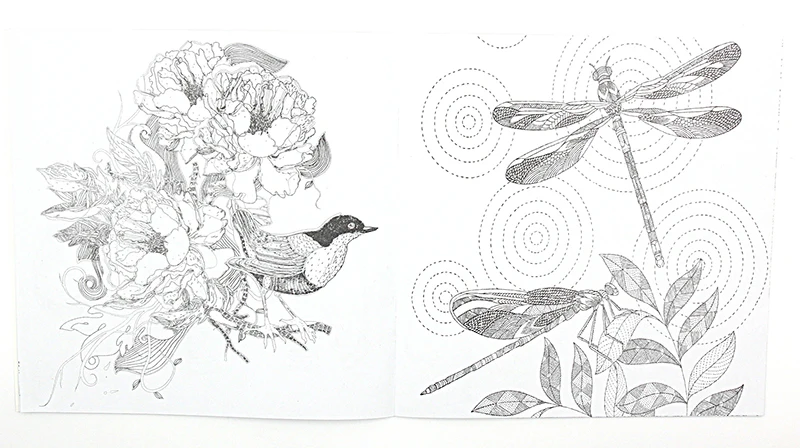 1 PCS 24 Pages Animal Kingdom English Edition Coloring Book For Children Adult Relieve Stress Kill Time Painting Drawing Book 1 PCS 24 Pages Animal Kingdom English Edition Coloring Book For Children Adult Relieve Stress Kill Time Painting Drawing Book