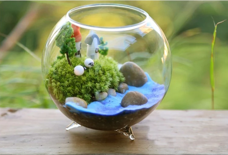 Tripod Support Round Shape Glass Plant Flower Landscape Vase Container Popular New Transparent Hydroponic Vase Fishtank Fishbowl