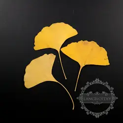 Желтый Гинко Дерево листьев засушенный цветок DIY сухой цветок материал для закладки 10 шт. каждый пакет 1503121