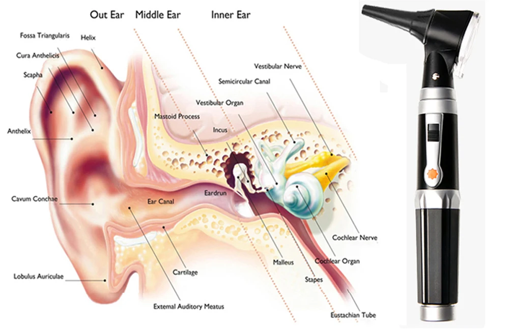 Медицинские Otoscopio диагностический светодиодный Лампы отоскоп ушной уход на дому профессиональный врач диагностики уха эндоскоп Cleaner с 8 советов