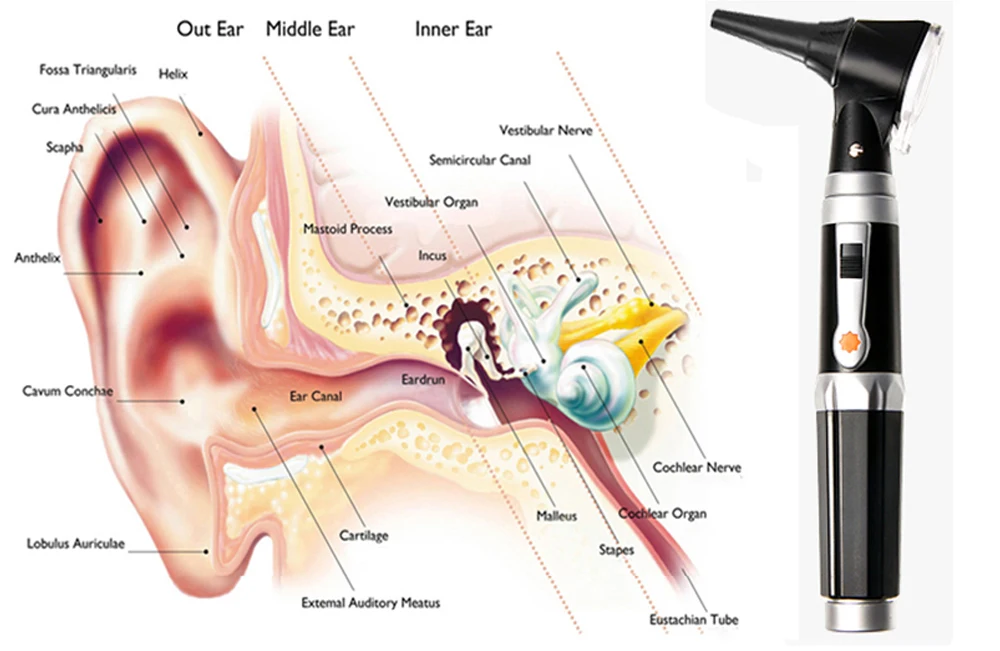 Профессиональный медицинский Otoscopio диагностический светодиодный отоскоп ушной заботы Домашний медицинский диагностический эндоскоп очиститель с 8 наконечниками