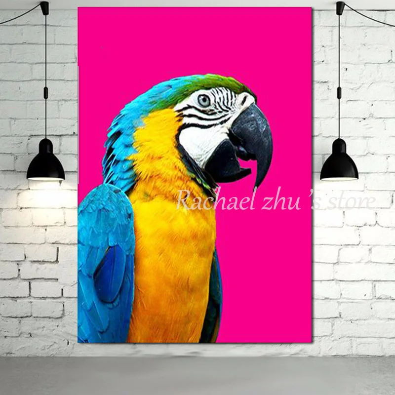 

Free Shipping Modern Hand Painted Color Bird Oil Painting On Canvas Animal Wall Pictures For Living Room Home Decor No Framed