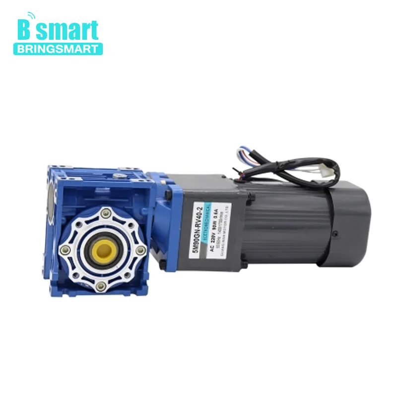 

Bringsmart 220V AC motor 90W gear reducer motor RV worm gear motor speed micro small motor slow speed