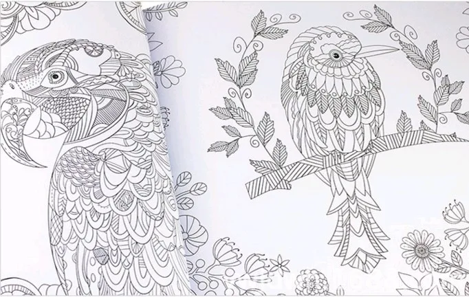秘密の庭謎ガーデンアルバム英語落書きぬりえ絵画文具解凍秘密の庭 Secret Garden The Secret Gardenmystery Garden Aliexpress 秘密の庭謎ガーデンアルバム英語落書きぬりえ絵画文具解凍秘密の庭 Secret Garden The Secret Gardenmystery Garden Aliexpress
