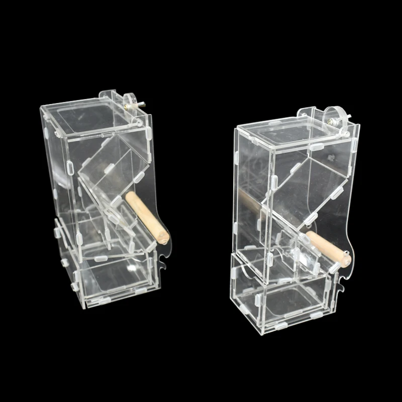 

3pcs high quality transparent automatic feeder parrot bird diet feeding tool pet bird food container Bird Feeder