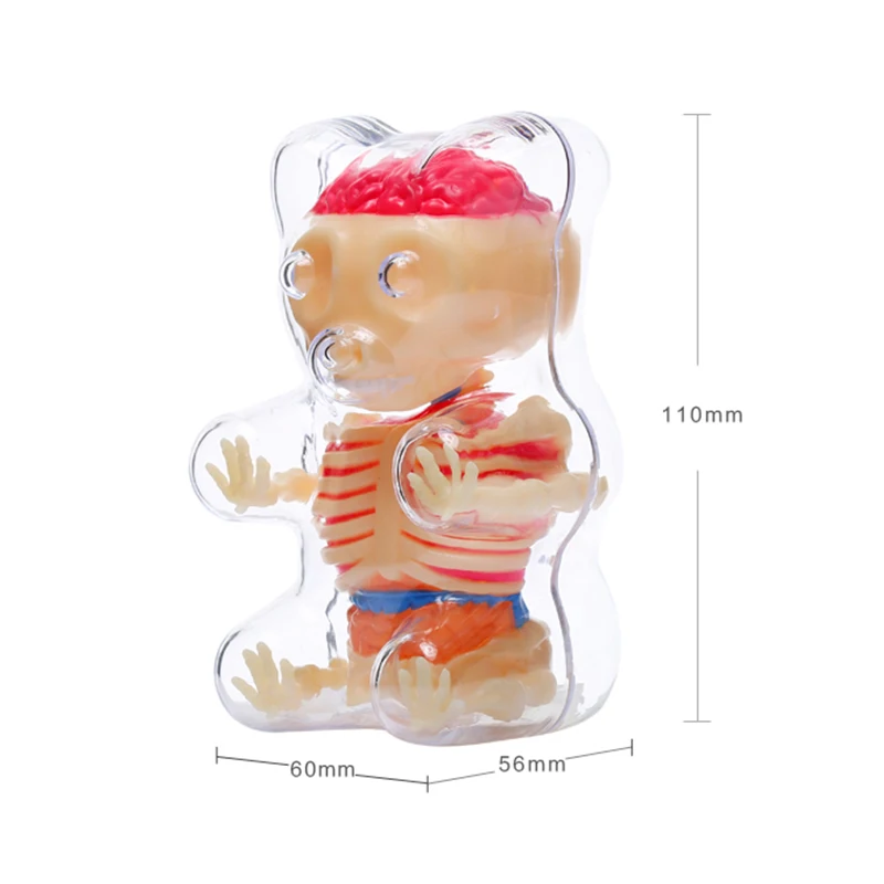 Наука игрушки 4 dmaster модель анатомирования для перспектива медведь скелет Аниме фигурки взрослые детские игрушки подарки медицины в форме животного