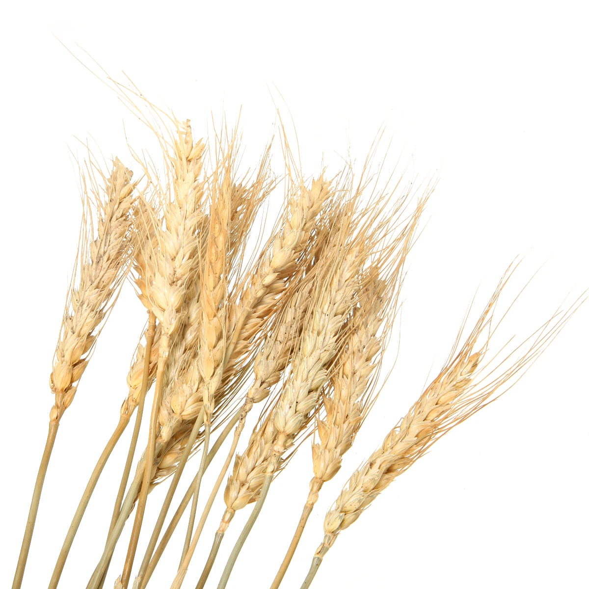 54.5cm 15 Artificial Autumn Wheat Flower Bouquet Wreath Fake Flowers DIY Scrapbooking for Home Garden Party Decoration