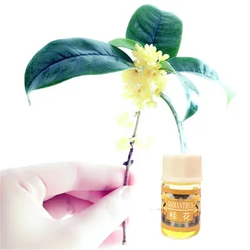 

12pcs/set Nature Cold Press Essential Oil for Diffuser Humidifier Moisturize Face lift