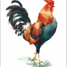 Акварельный петух на заказ Мандала алмазная живопись квадратные Стразы Единорог картины Рождественская Алмазная вышивка Декор