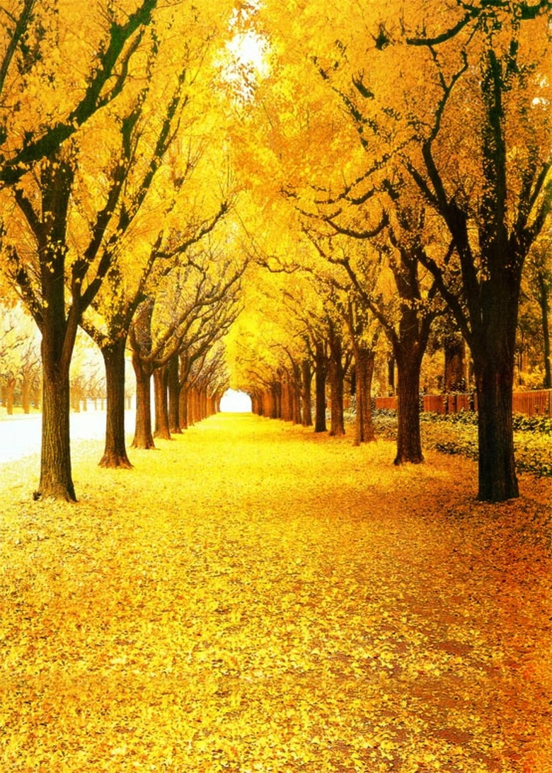 GoEoo 9x6ft Fall Yard Decoration Background Rustic Fallen Leaves Photography Backdrop Autumn Flowers Corn Cob Ornament Photo Studio Props Dooryard Thanksgiving Holiday Party Vinyl Banner