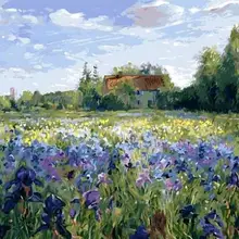 5839 Тимоти Истон вечер на Ирис поле-краска комплекты номеров для взрослых DIY