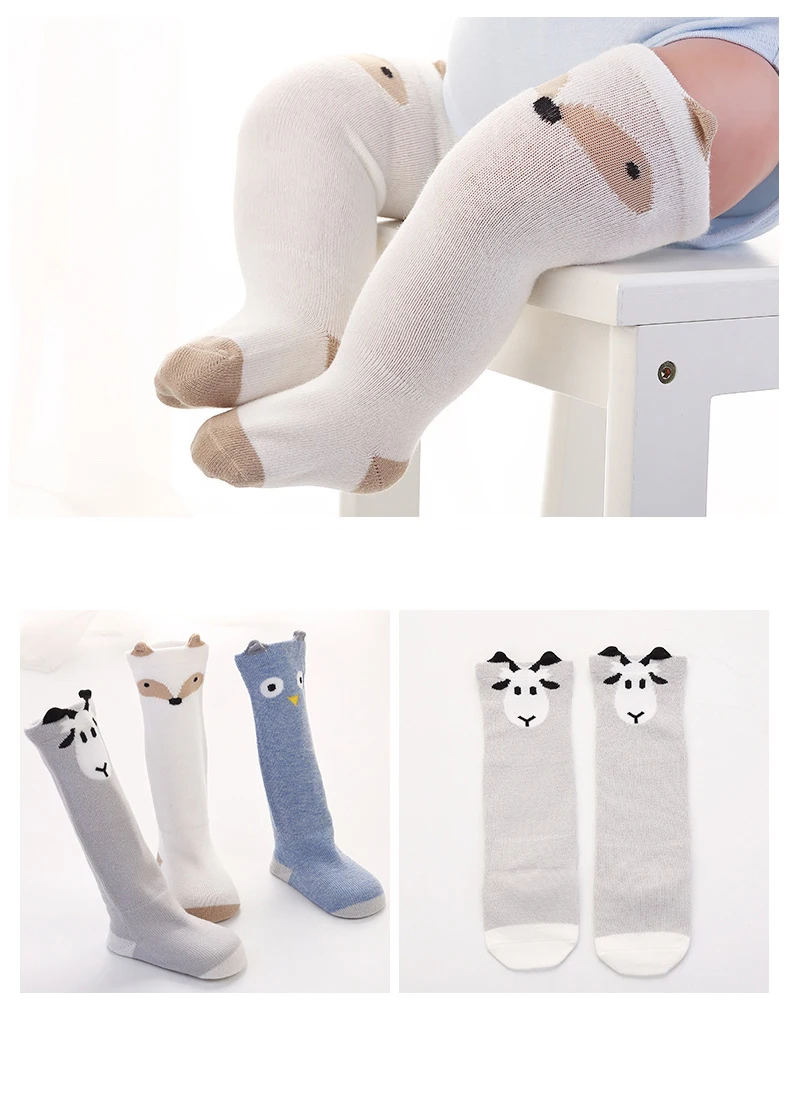 WC0024 (15)