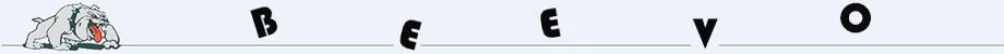 SMT2BEEVO