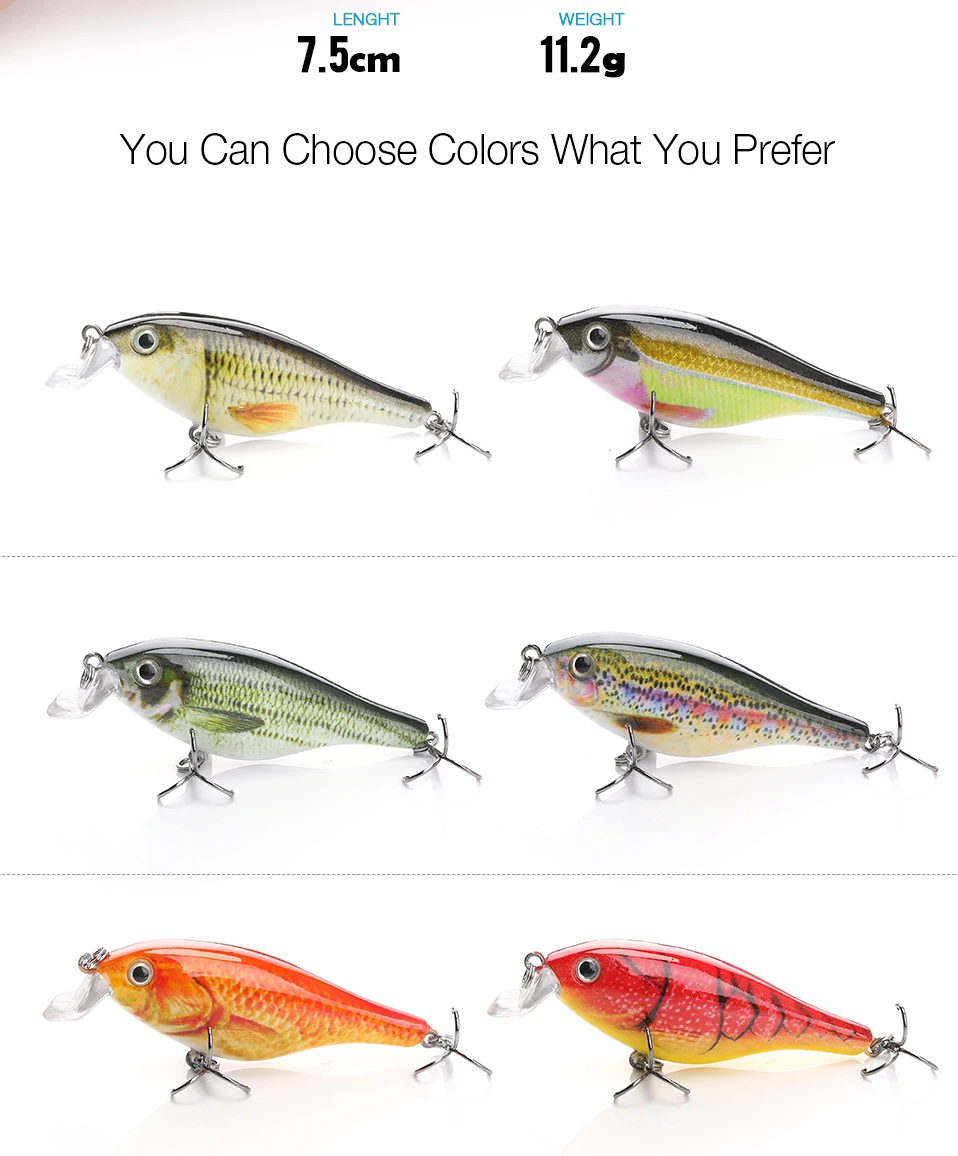YH10_05