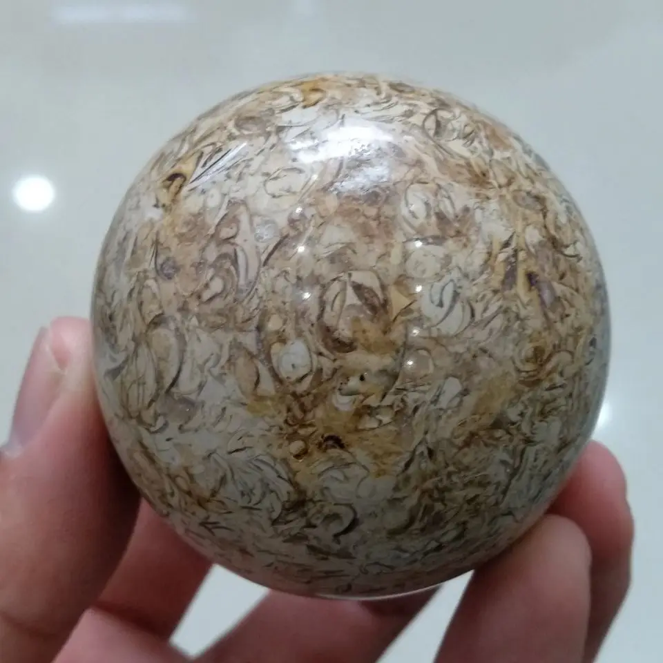 QQ20190416215930