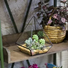 Modern Glass Polyhedrons Tabletop Succulent Plant Terrarium Box/Air Plant & Cacti Geometric Glass Eco Holder Case Bottle Bonsai