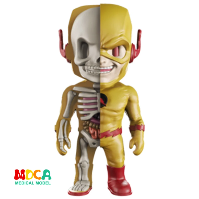 

REVERSE FLASH 4D XXRAY master Mighty Jaxx Jason Freeny anatomy Cartoon ornament