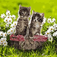 Безрамная картина по номерам краска по номеру для домашнего декора ПБН для гостиной 4050 kitty пара