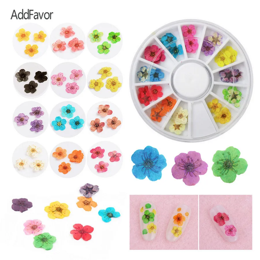 AddFavor 1Pack 36pc Dried True Flower Petals for Nail Art Gel Design