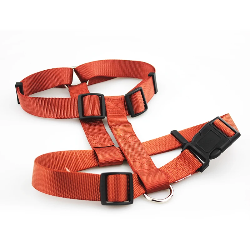 dog harness 2