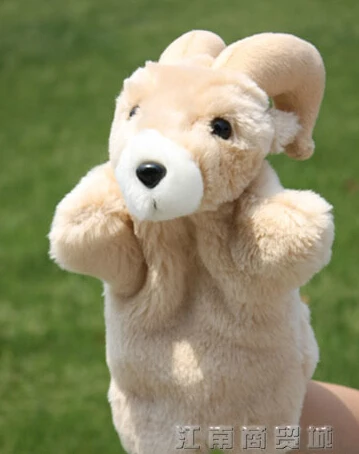 baby goat teddy