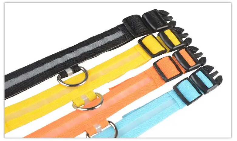 dog collar 1 (5)