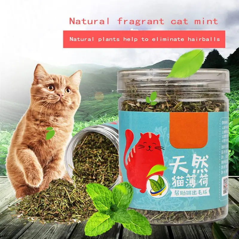 Натуральный Премиум Catnip ментоловый аромат мята для кошки забавные игрушки для котят кондиционер желудок 20 г