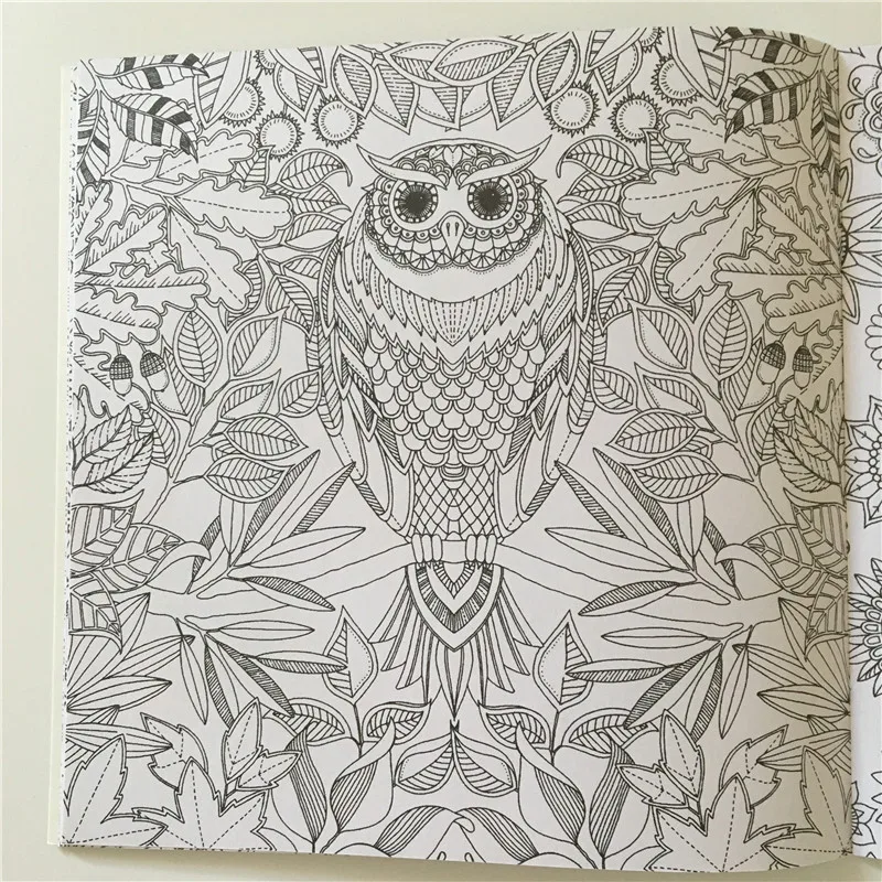 Online Shop 1PCS 24 Pages Secret Garden English Edition Coloring Book For Children Adult Relieve Stress Kill Time Painting Drawing