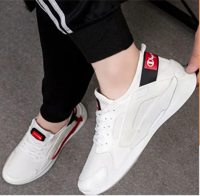 QQ图片20190603231031