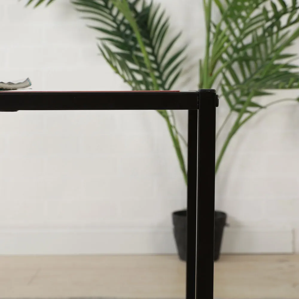 Coffee Table  (14)
