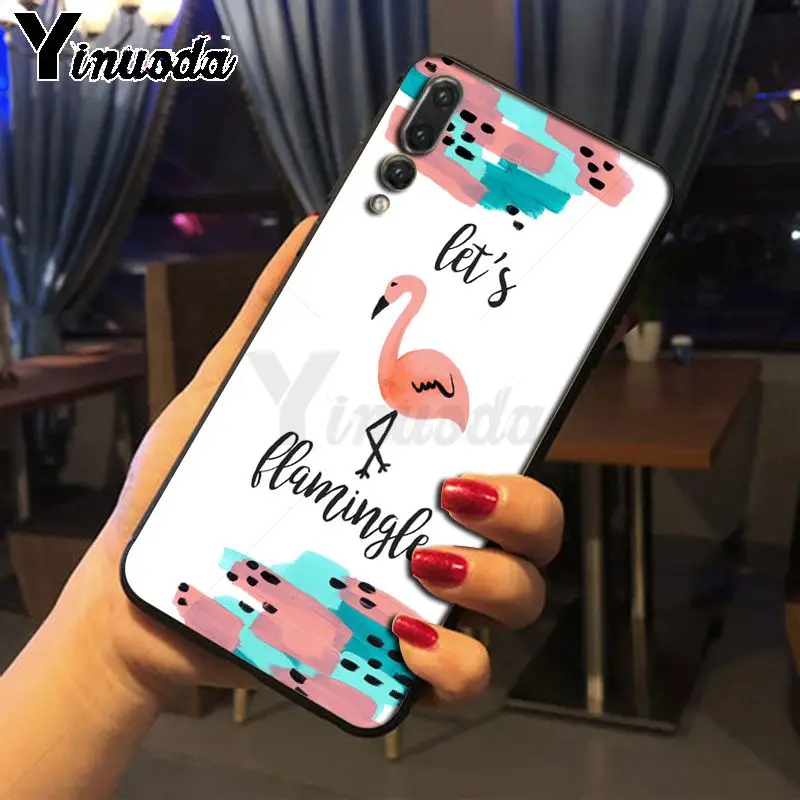 Colorful Flamingo