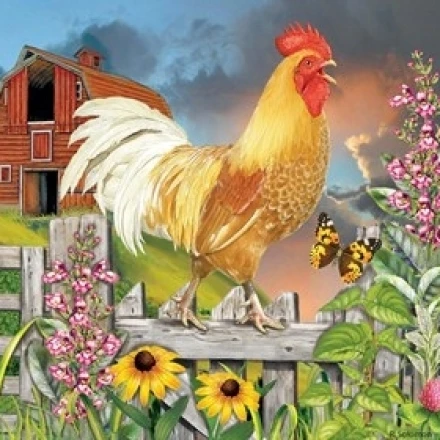Yellow Rooster Greeting The Day Poster Print by Rosiland Solomon (10 x 8)