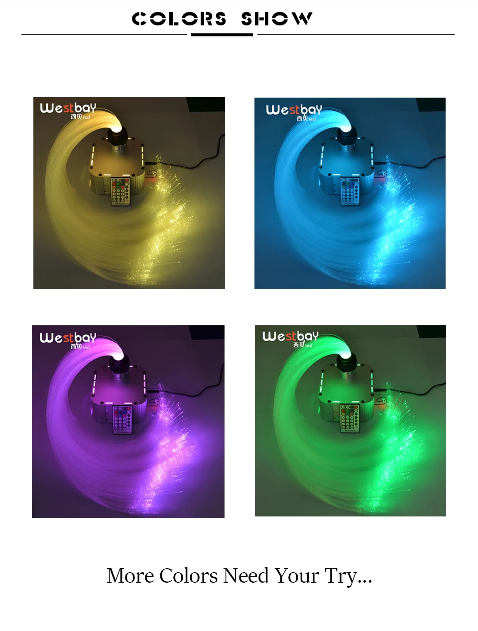 COLOR SHOW