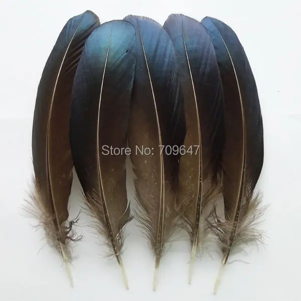 

100Pcs/Lot!8-15cm Natural Lady Amherst Blue Feathers,Iridescent Blue Lady Amherst Pheasant Wing Feathers,craft feathers