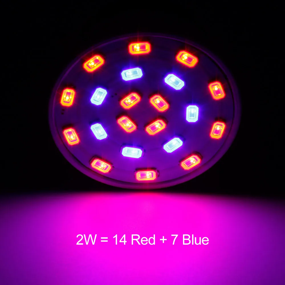 2 W Светодиодный Grow Light лампа для растений 14Red 7 синий рост свет 360 градусов гибкий держатель зажим Крытый Desktop посадки AC 220 V