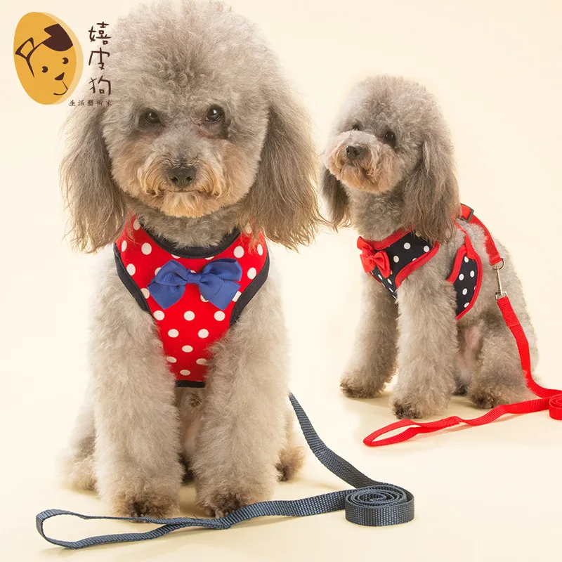 

Fashion Dog Harness and Leash Set Teddy Dog Harness Vest Pet Walking Harnesses Leash Set Puppy Cartoon Collar for Small Dogs Cat