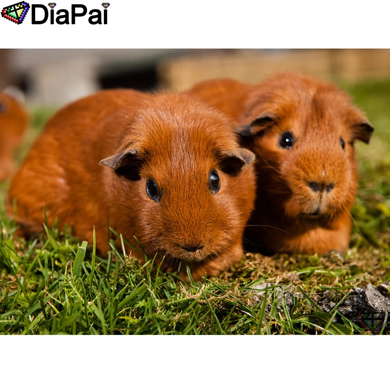 

DIAPAI 5D DIY Diamond Embroidery Full Display "Animal guinea pig" Diamond Painting Square/Round Rhinestones Decor Art A26139