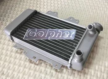

Motorcycle Aluminum Radiator For Pes150 F27 06-12