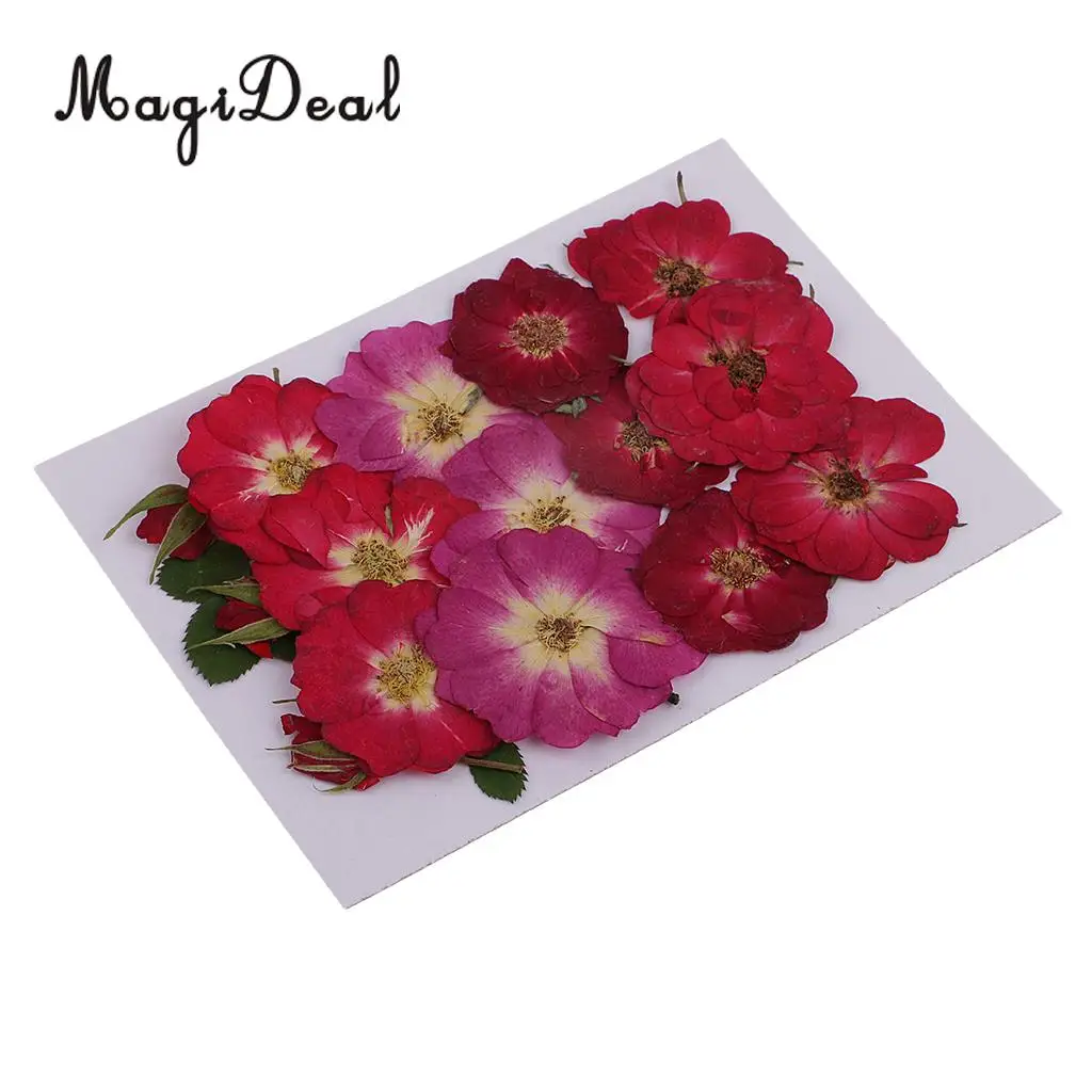 Beautiful Multiple Real Pressed Leaves Natural Dried Flowers for Art Craft Scrapbooking Card Making  Resin Jewelry Craft DIY