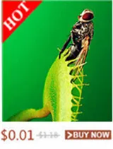 HTB1P6rHXRE_1uJjSZFOq6xNwXXaM